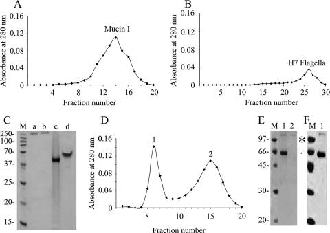 FIG. 5.