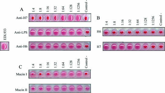 FIG. 7.