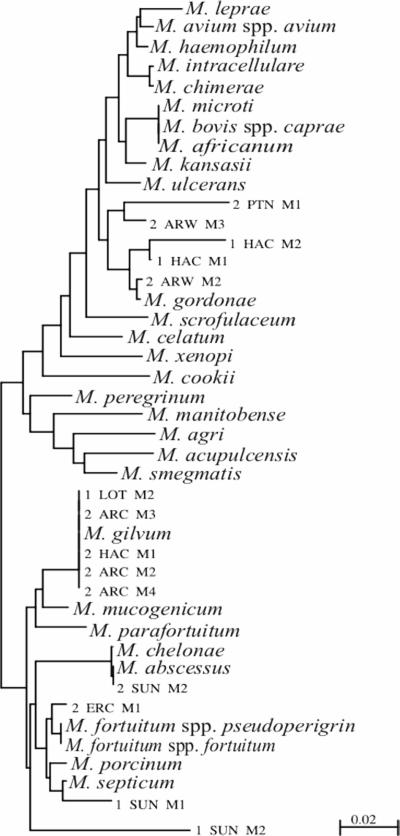 FIG. 1.