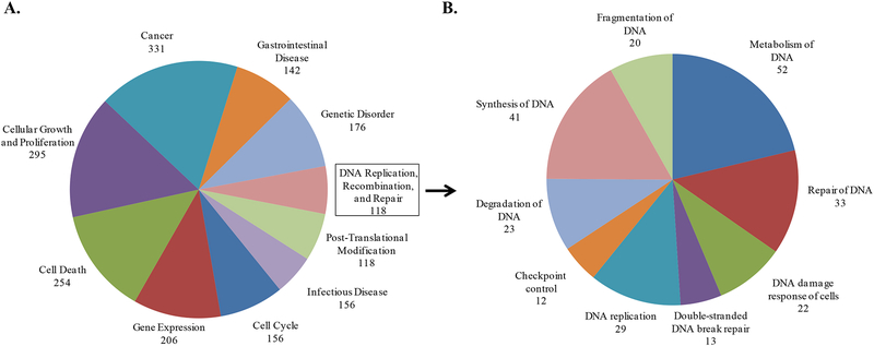 Figure 5: