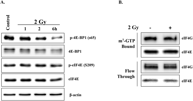 Figure 4: