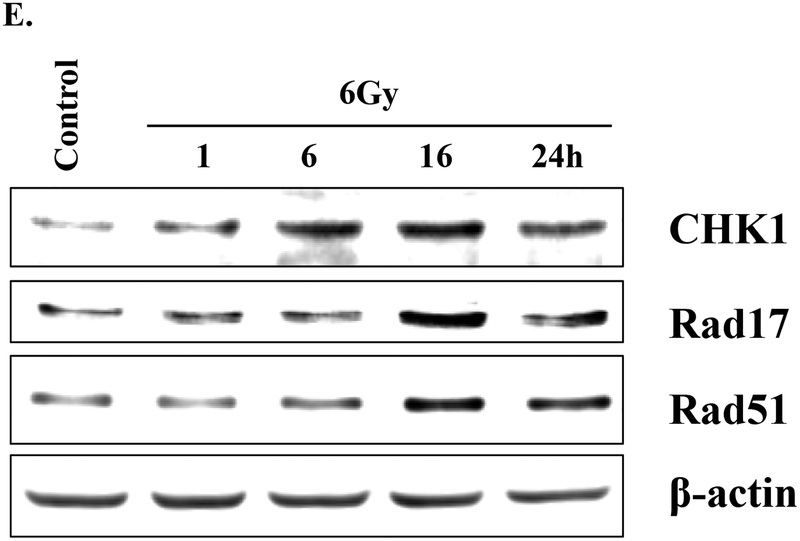 Figure 5: