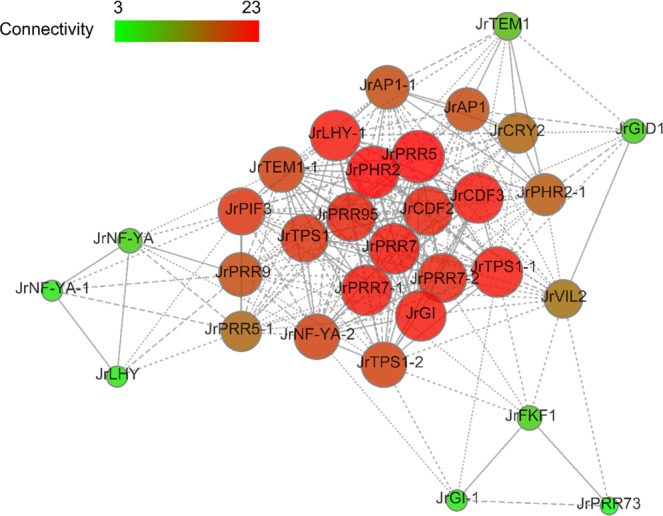 Figure 11