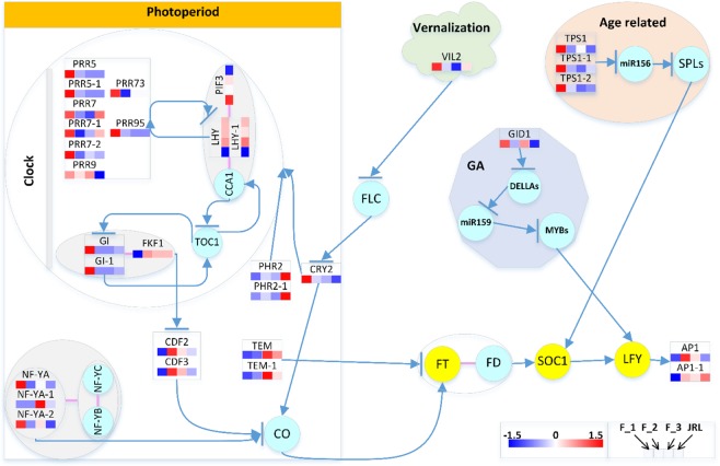 Figure 10