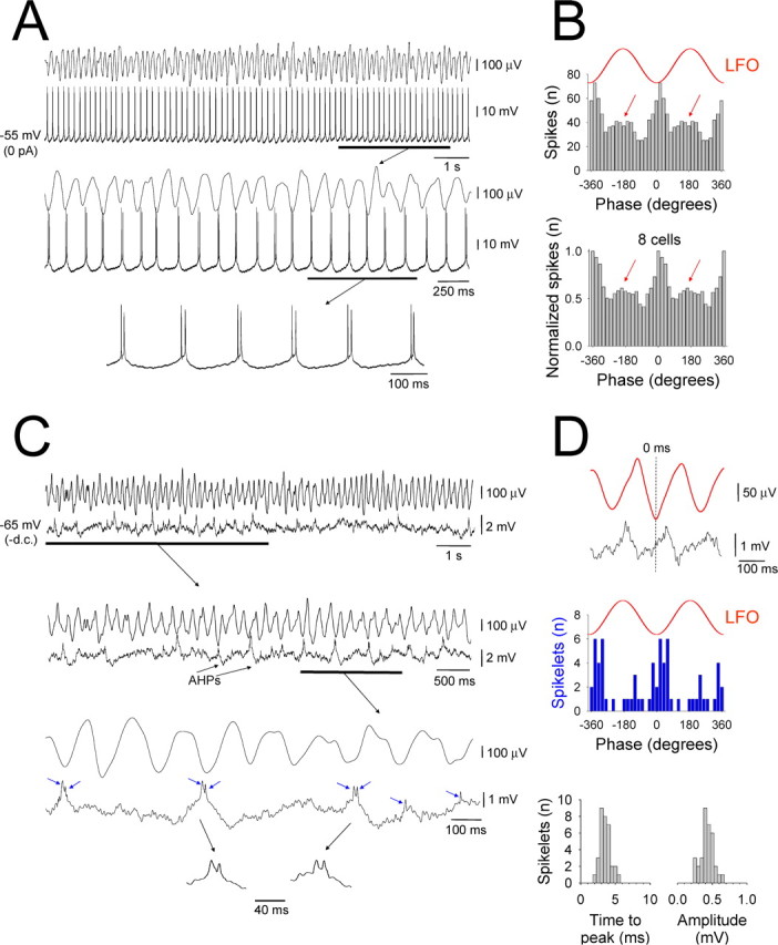 Figure 6.