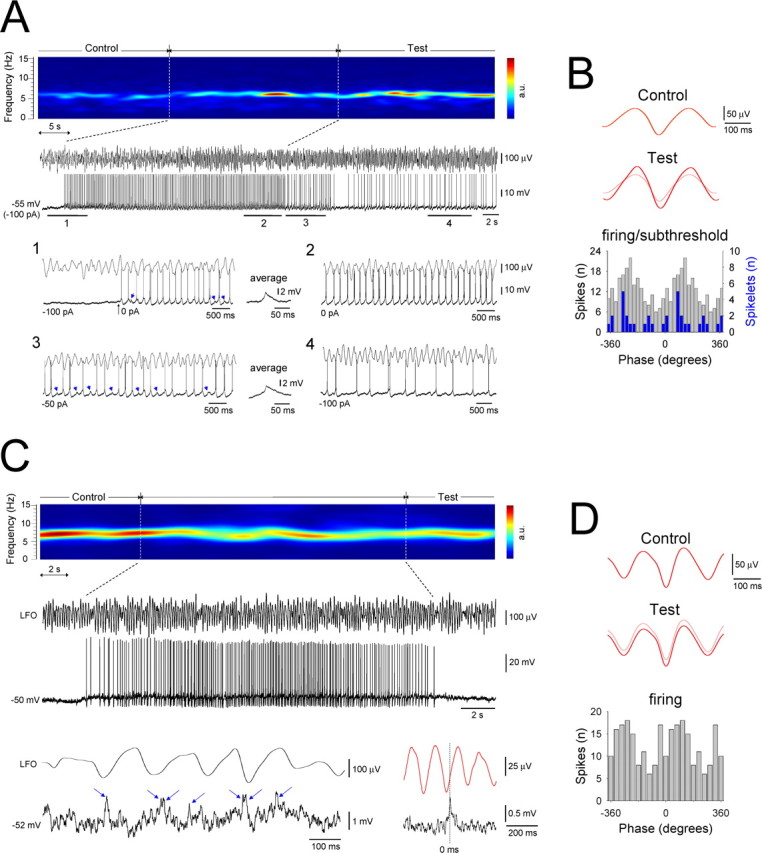 Figure 10.