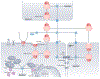 Fig. 3 |