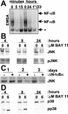FIG. 1.