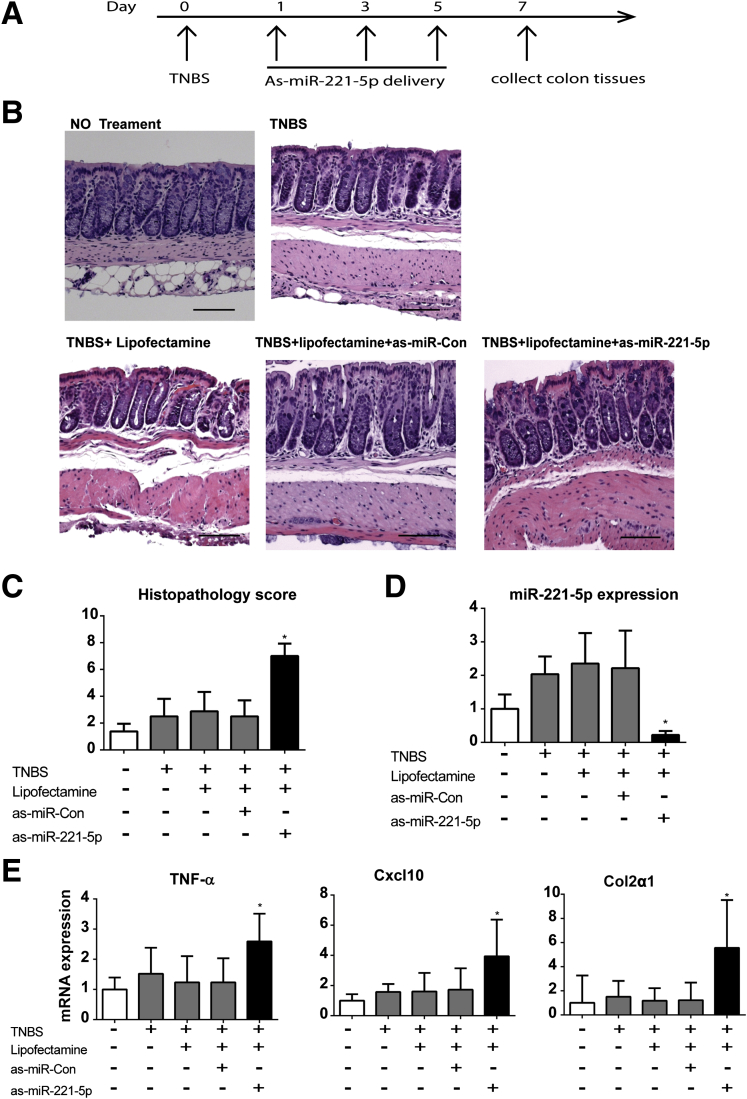 Figure 7