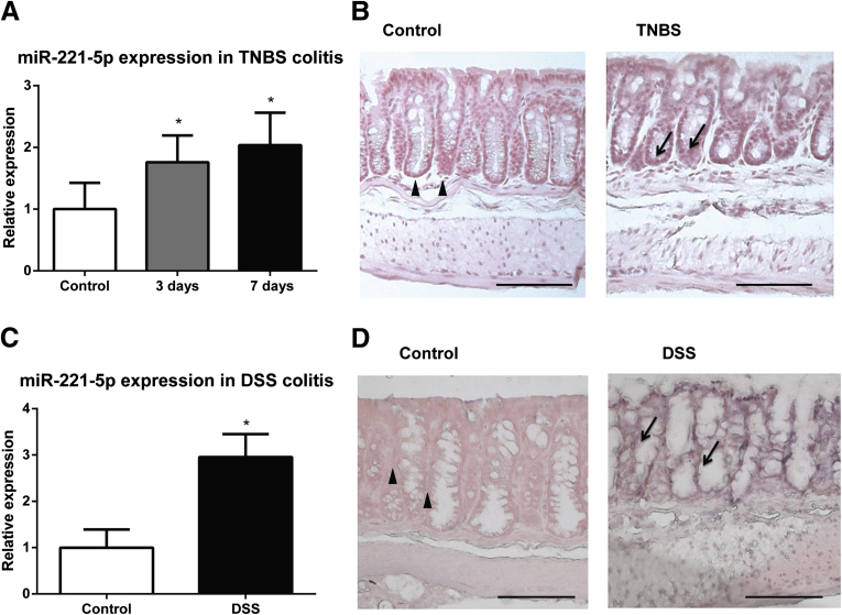 Figure 6