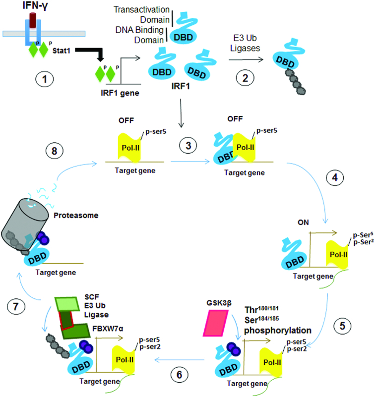 Figure 12.