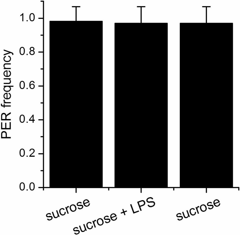 Figure 3—figure supplement 2.