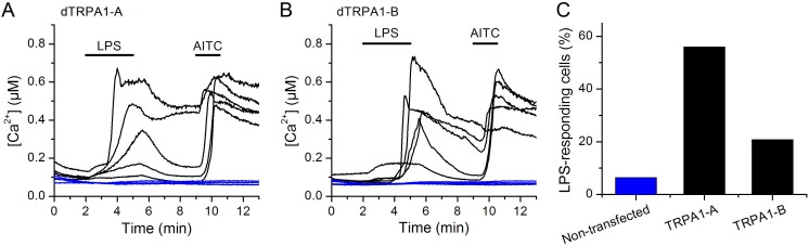 Figure 4—figure supplement 4.