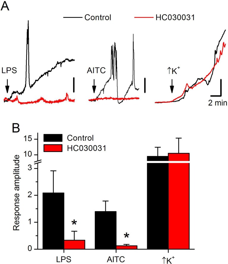 Figure 4—figure supplement 1.