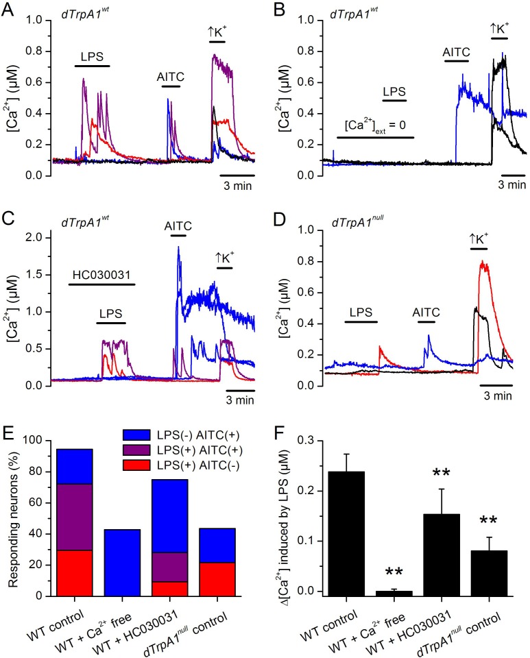 Figure 4—figure supplement 3.