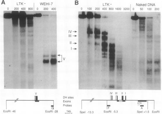 graphic file with name pnas01089-0081-a.jpg