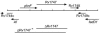 FIG. 1.
