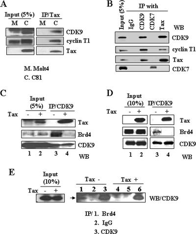 FIG. 5.