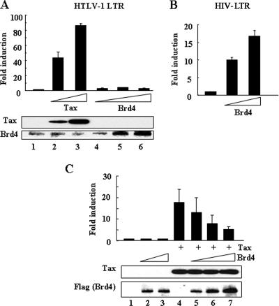 FIG. 1.