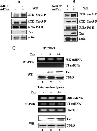 FIG. 6.