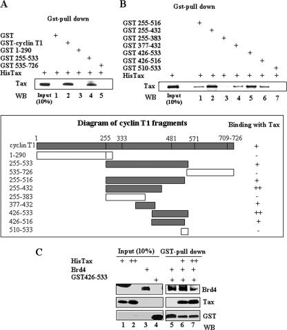 FIG. 4.