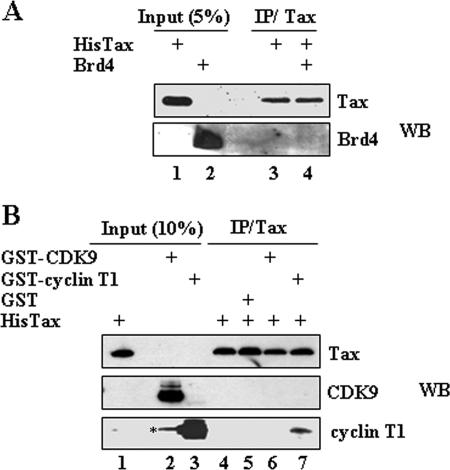 FIG. 3.