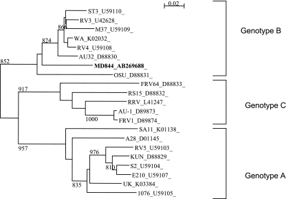 FIG. 4.