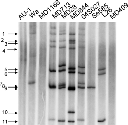 FIG. 5.