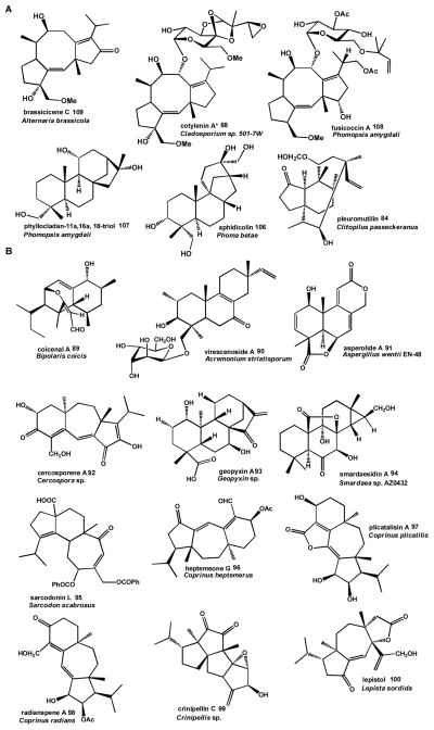 Scheme 10