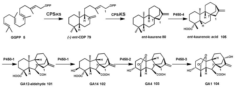 Scheme 11