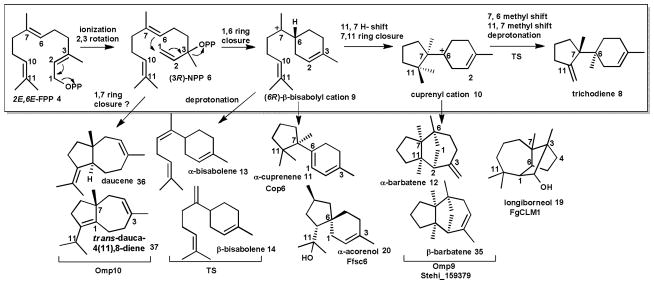 Scheme 2