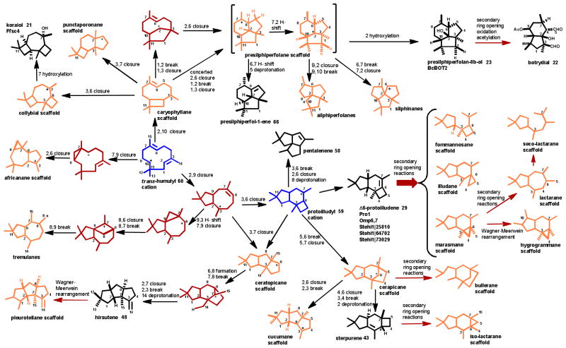 Scheme 7