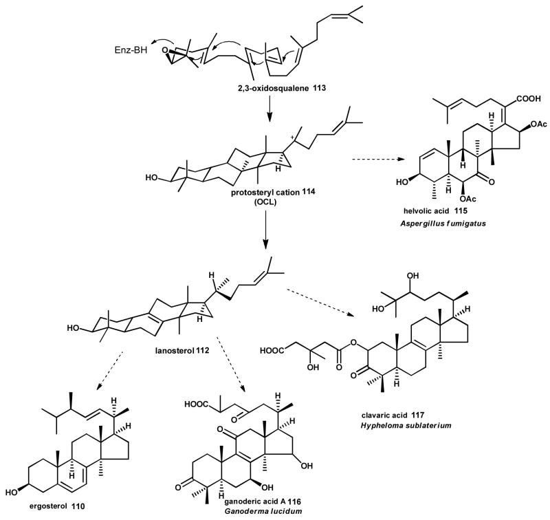 Scheme 12