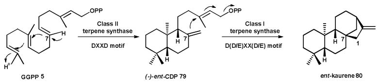 Scheme 9