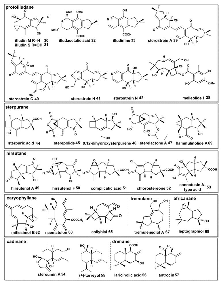 Scheme 6