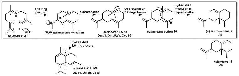 Scheme 3