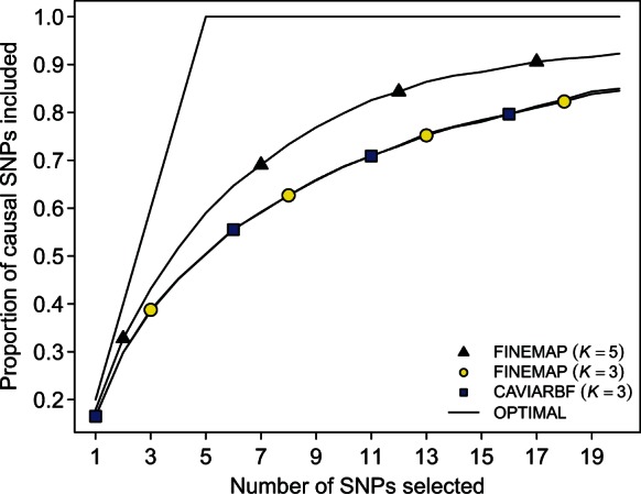 Fig. 5.