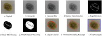 Fig 3