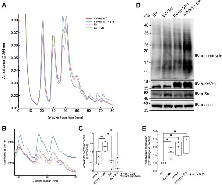 Figure 6