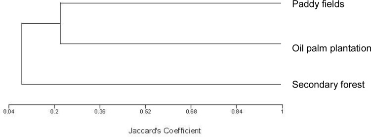 Figure 2: