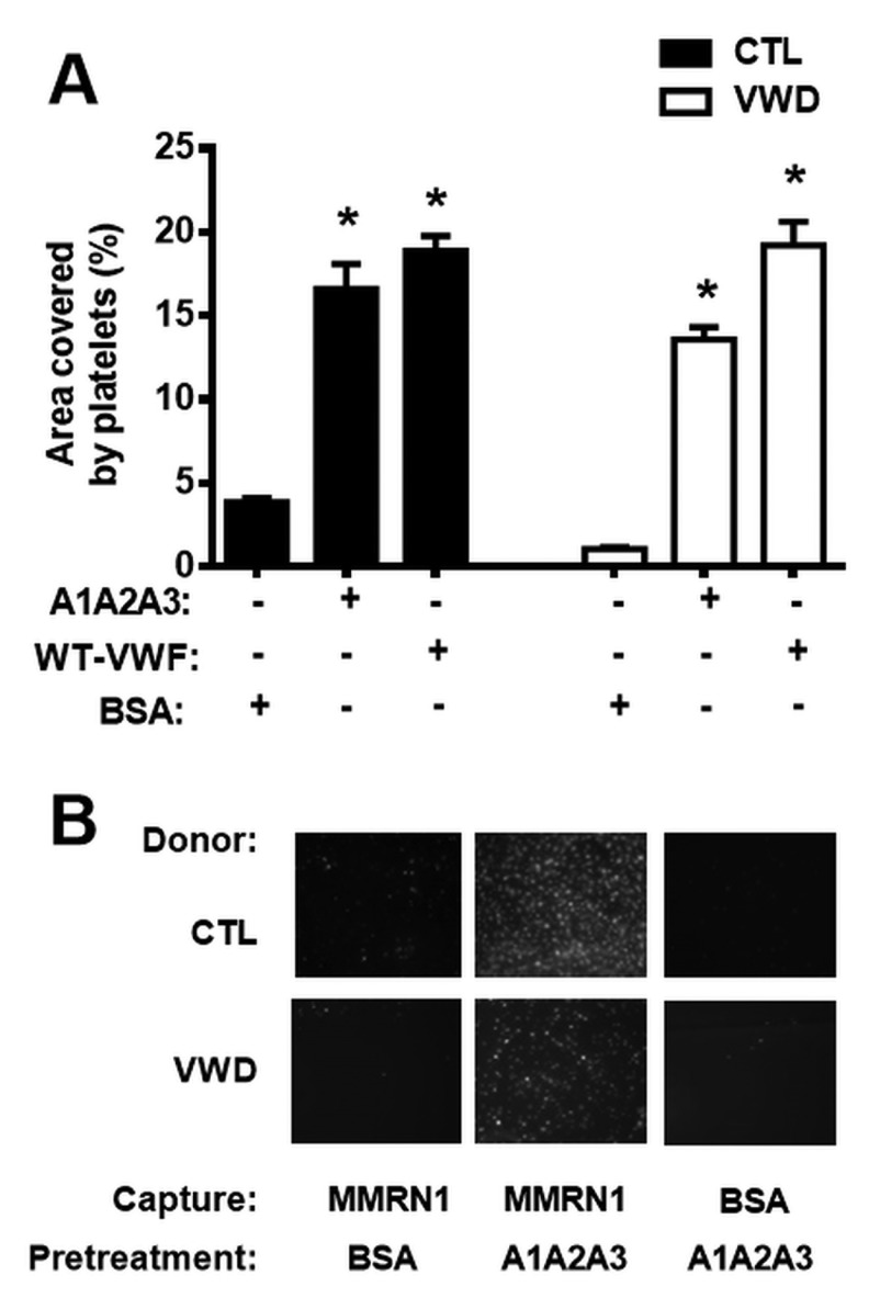 Figure 5: