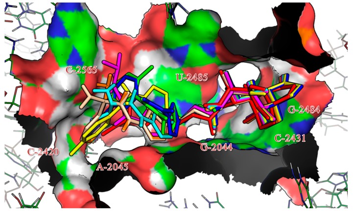 Figure 2