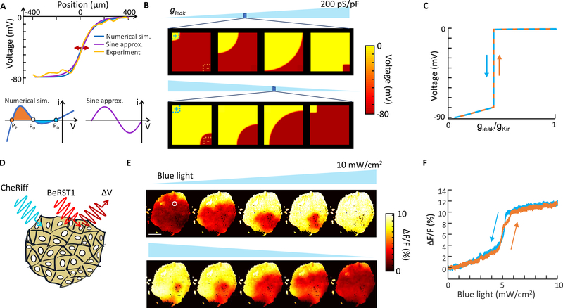 Figure 3.