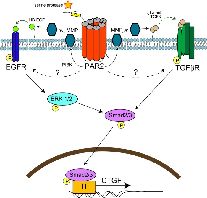 FIGURE 12.