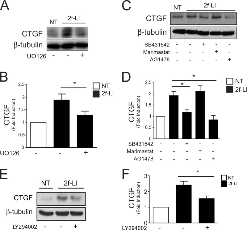 FIGURE 11.