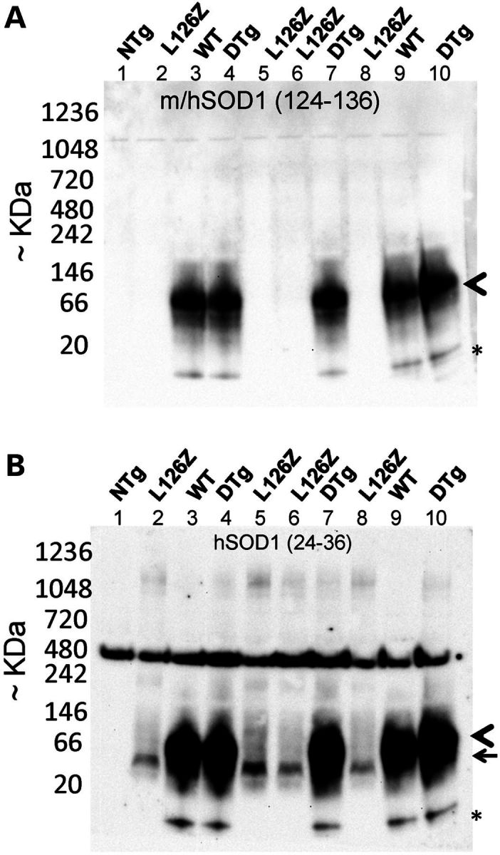 Figure 9.