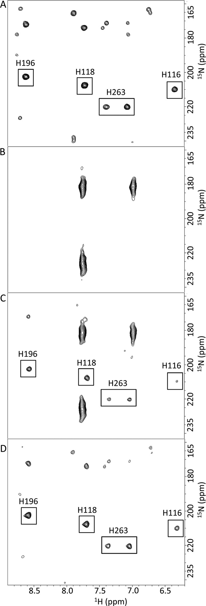 FIGURE 9.