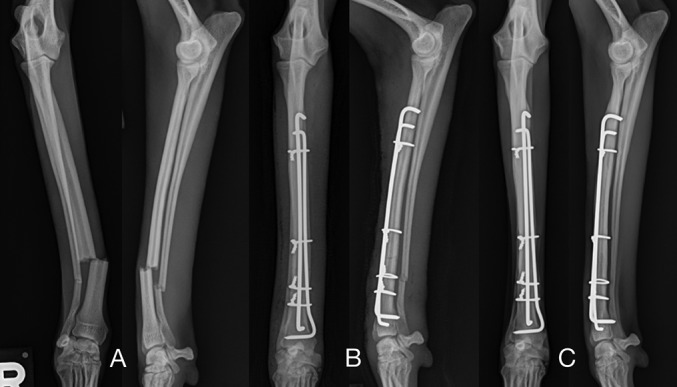 FIG 2: