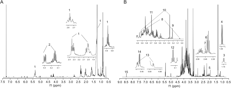 Fig. 8