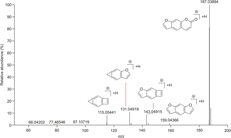 Fig. 7